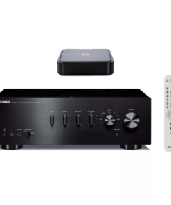 Yamaha A-S301 Plus Argon Solo Streaming Device (Combo)